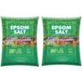 Epsom Salt Magnesium Sulfate for Speed Up Plant and Vegetables