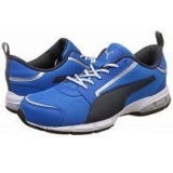 Puma Men Triton Shoes