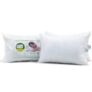 Recron Certified Dream Fibre Pillow