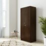 Solimo Pyxis Engineered Wood Wardrobe