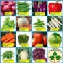 Buy Online Best Organic Vegetable Seeds