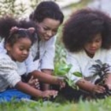 Best Buy Garden & Outdoors Deals Online in India