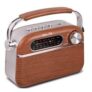 iBELL FM700BT Portable FM Radio with Bluetooth Speaker